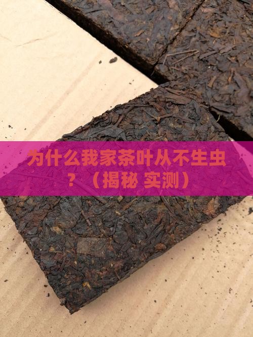 茶叶为何不生虫
