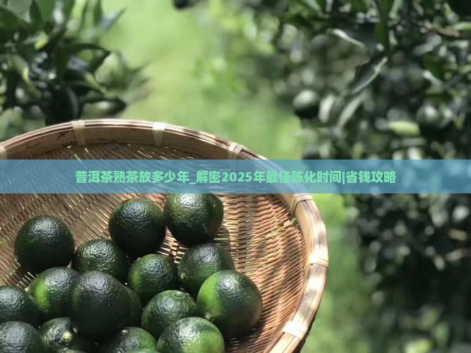 普洱茶熟茶放多少年
