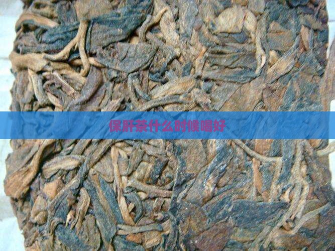 保肝茶什么时候喝好