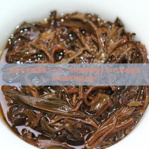 云南七子普洱茶二十年