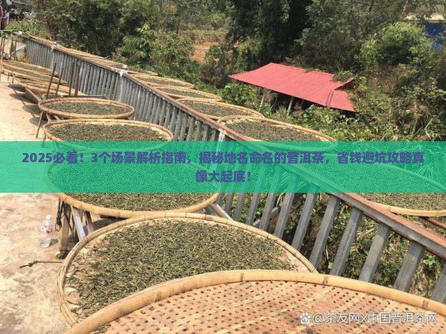 地名命名的普洱茶