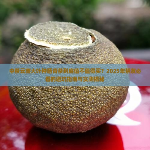 中茶云南大叶种晒青茶