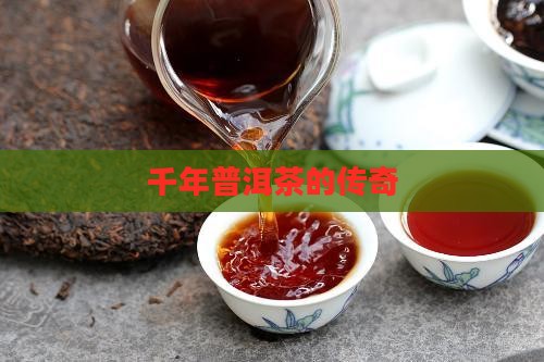 3千年的普洱茶