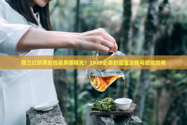 锡兰红茶黑色包装