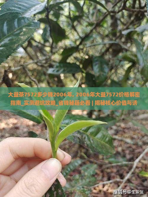 大益茶7572多少钱2006年