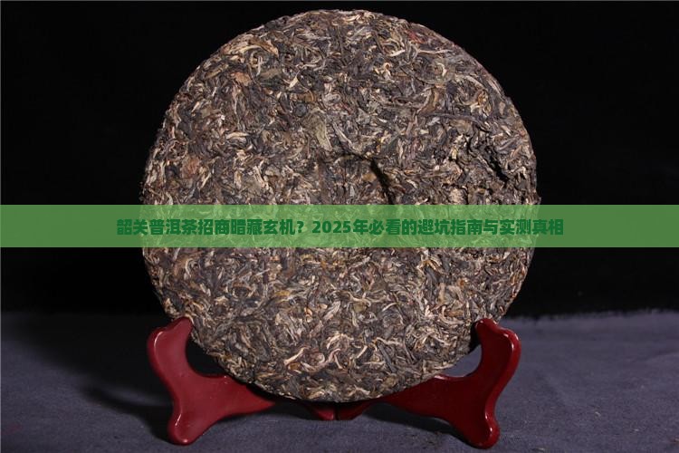 韶关知名普洱茶招商