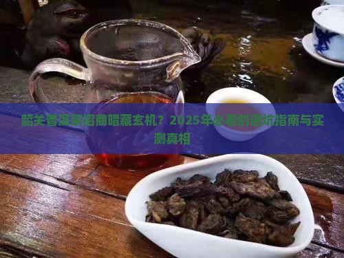 韶关知名普洱茶招商