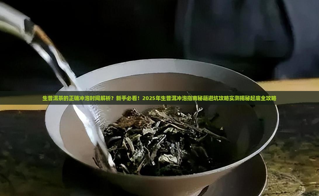 生普洱茶的正确冲泡时间