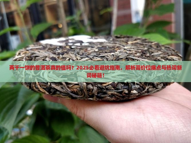 两千一饼的普洱茶