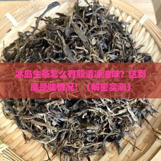 冰岛生茶有股清凉油味道