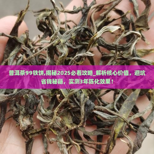 普洱茶99铁饼