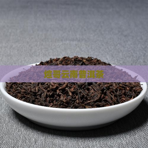 煊哥云南普洱茶