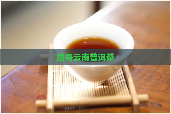 煊哥云南普洱茶