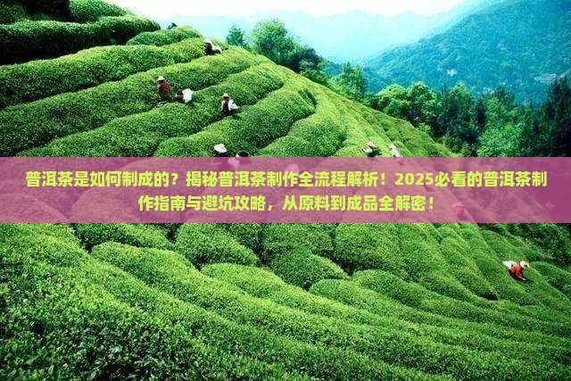 普洱茶是如何制成的