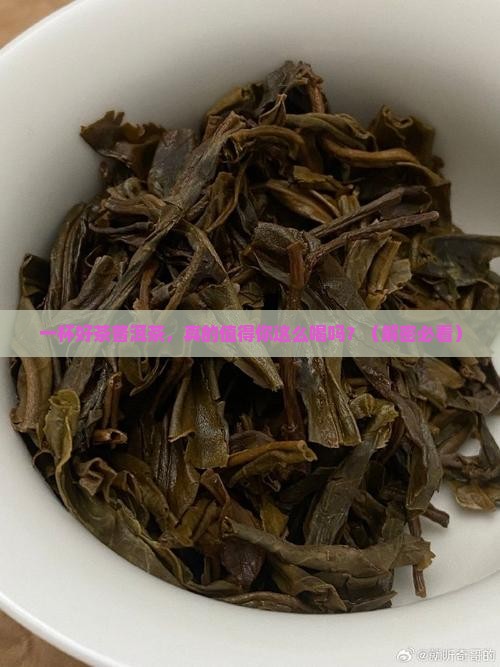 一杯好茶普洱茶
