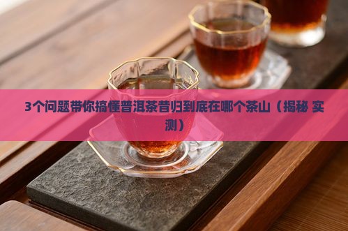 普洱茶昔归在那个茶山