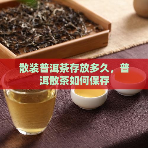 散装普洱茶可存放吗