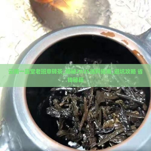 云南一品堂老班章砖茶