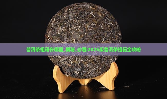 普洱茶祖籍在哪里
