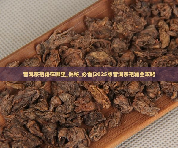 普洱茶祖籍在哪里