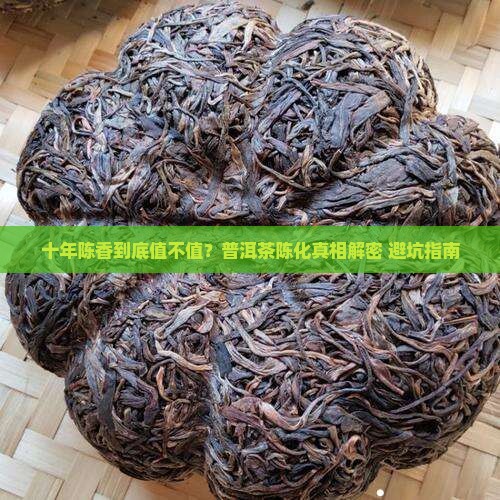 普洱茶十年陈香