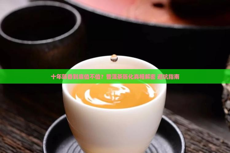 普洱茶十年陈香