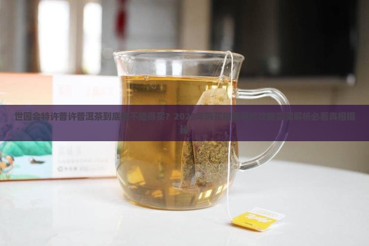 世园会特许普许普洱茶