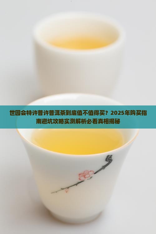 世园会特许普许普洱茶