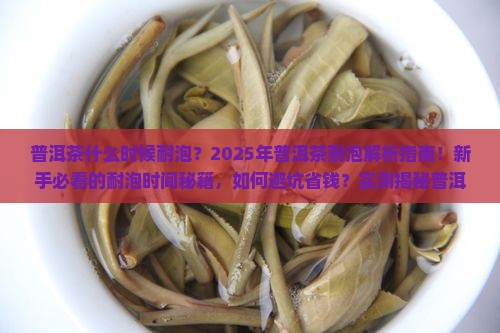 普洱茶什么时候耐泡
