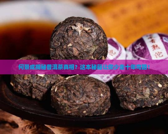 何景成谈普洱茶