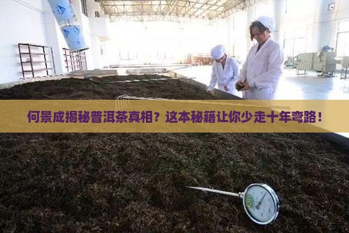 何景成谈普洱茶