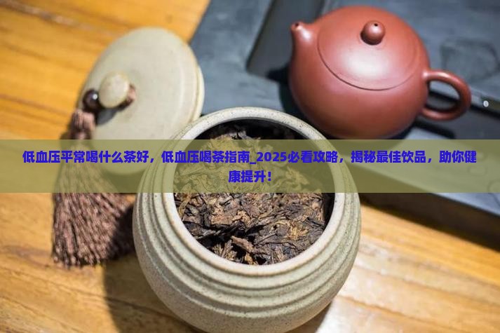 低血压平常喝什么茶好