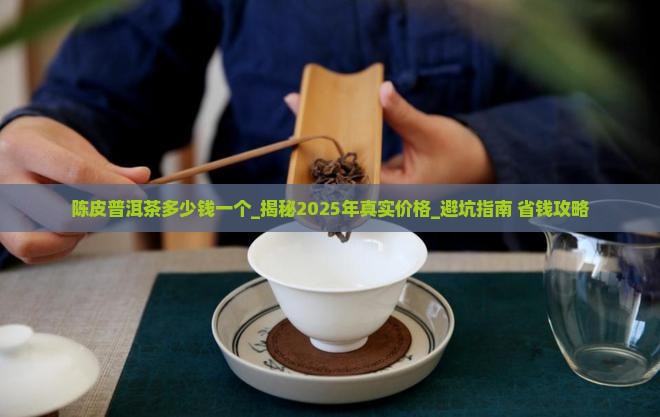 陈皮普洱茶多少钱一个