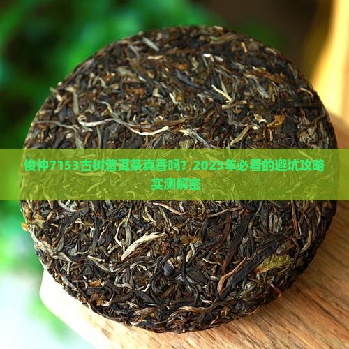 俊仲7153古树普洱茶好不