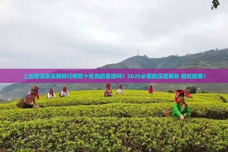 上虞普洱茶品牌排行榜前十名