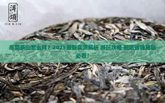 东莞茶山怎么样