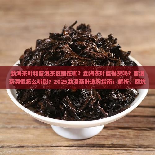 勐海茶叶和普洱茶区别在哪