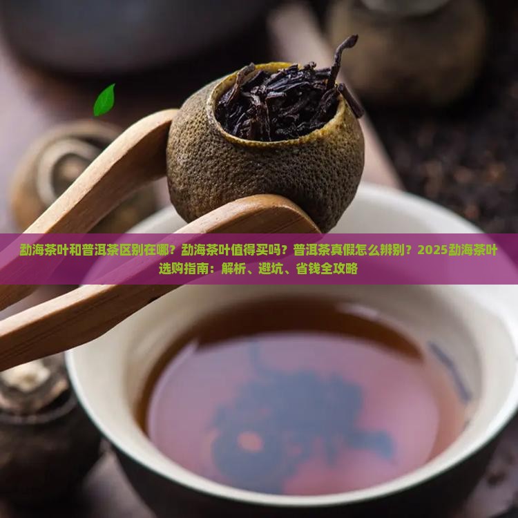 勐海茶叶和普洱茶区别在哪