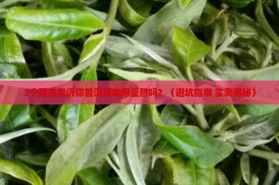 普洱茶能用壶熬吗