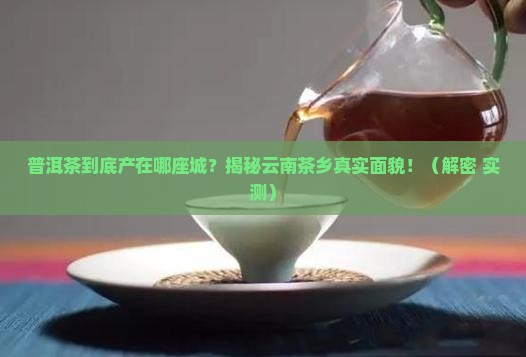 普洱茶主要在什么市