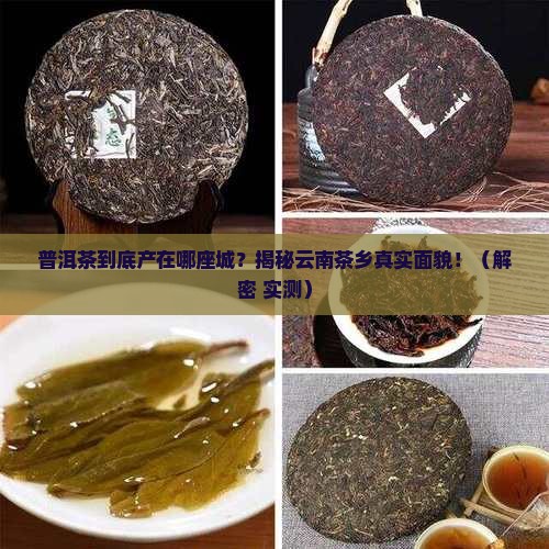普洱茶主要在什么市