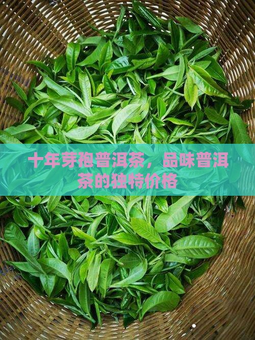 十年芽孢普洱茶