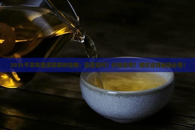 干旱年的普洱茶