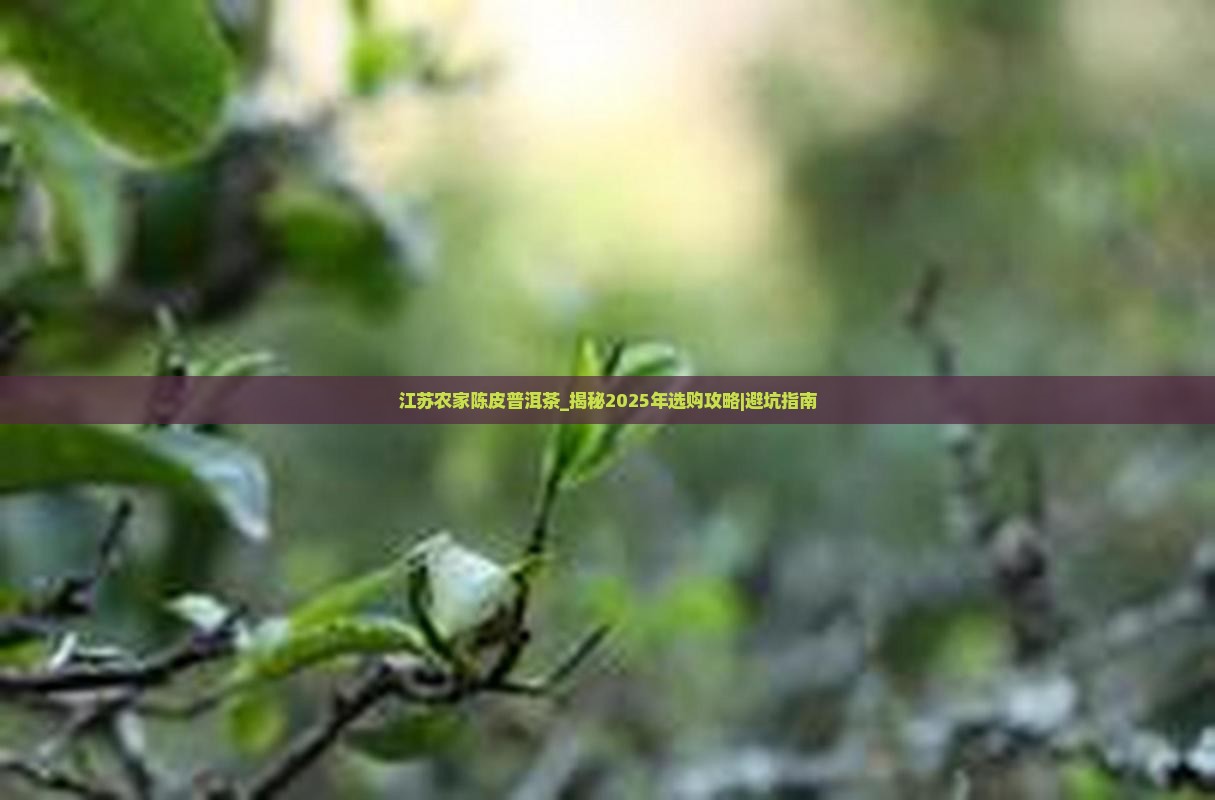 江苏农家陈皮普洱茶