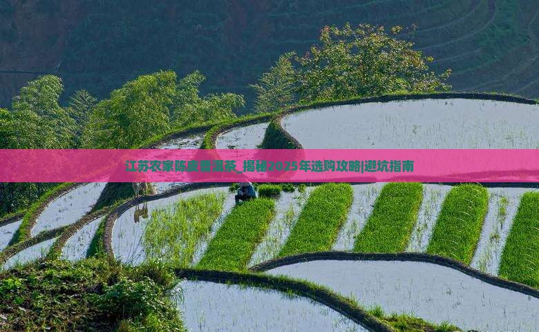 江苏农家陈皮普洱茶
