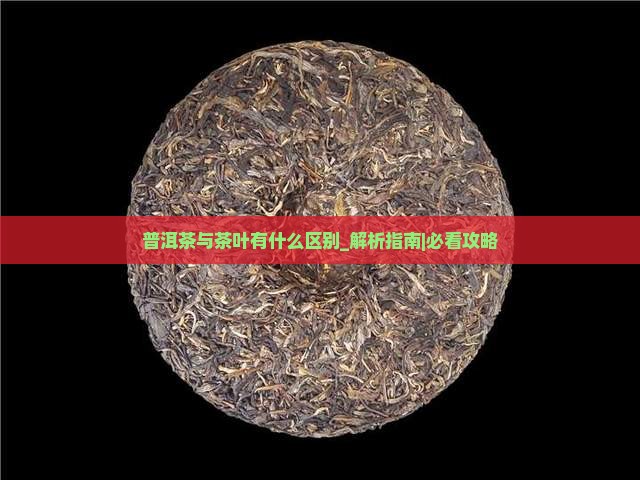 普洱茶与茶叶有什么区别