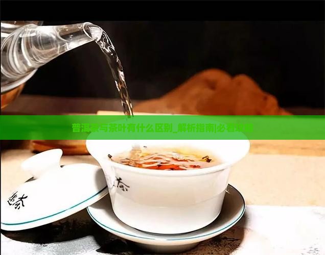 普洱茶与茶叶有什么区别