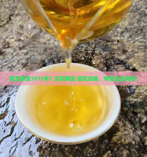 普洱茶是1973年