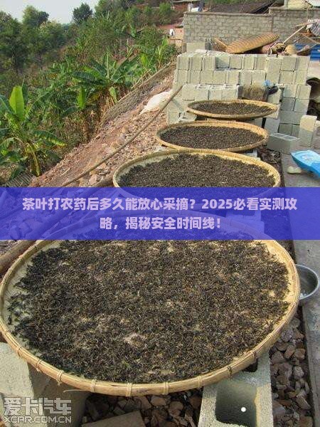 茶叶打农药多久可以采摘