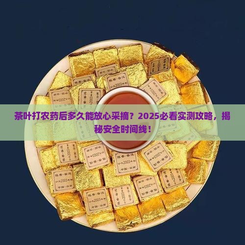 茶叶打农药多久可以采摘